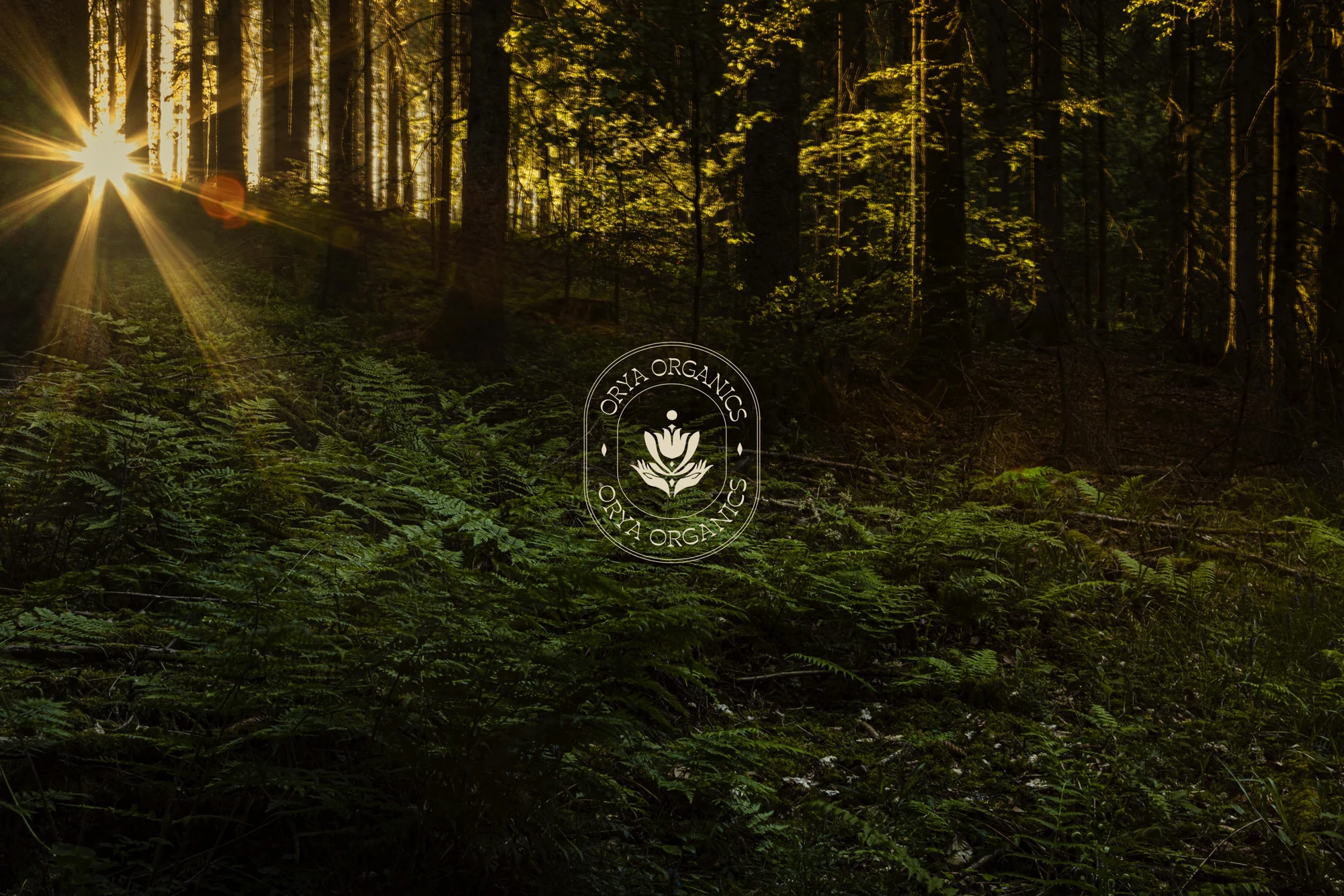 Orya Organics — brand identity and applications, view 2